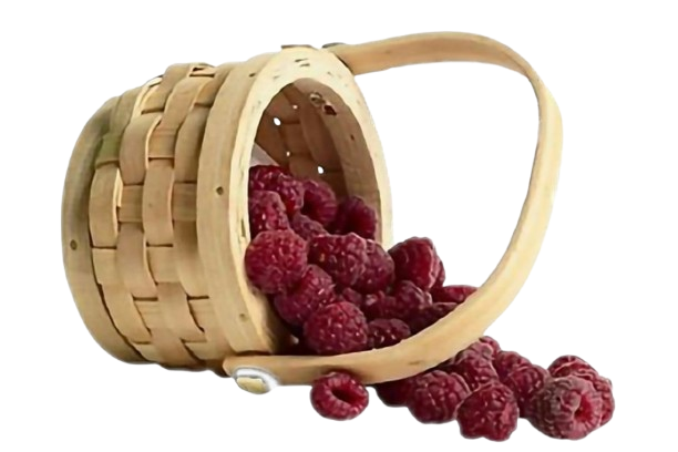 raspberry basket